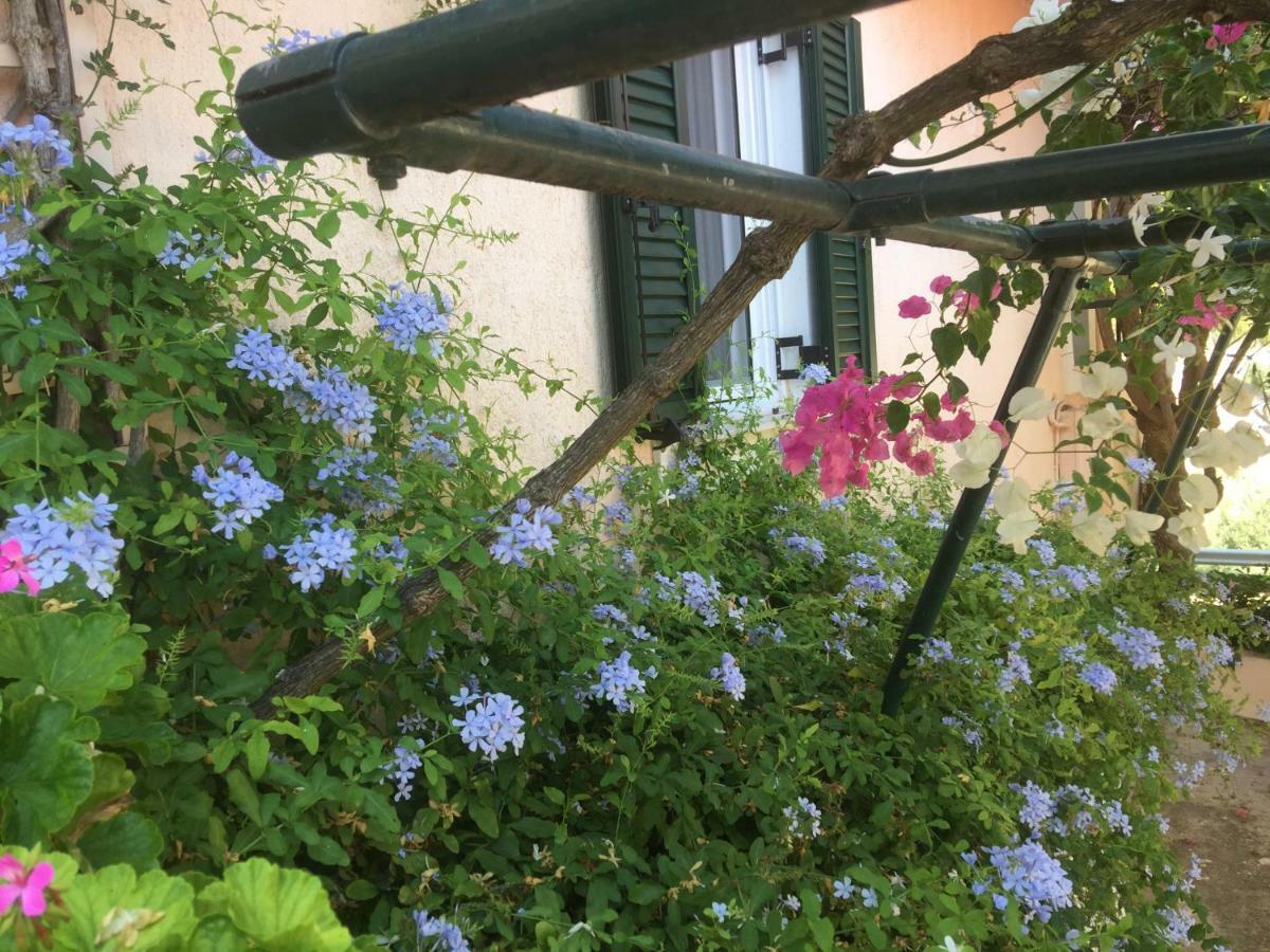 Casa Buganvilla Minia Zewnętrze zdjęcie